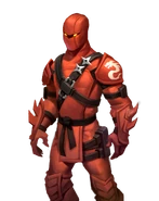 Appearance on the Hybrid Loading Screen (Stage 1)