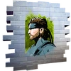 Solid Profile - Spray - Fortnite