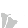 Saurian Claws - Perk - Fortnite