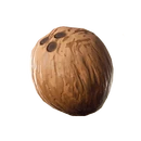 Coconut