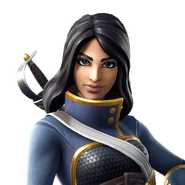 Icon (Before v30.00)