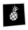 Ananas (Bannière)