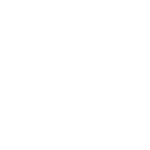 Starting Grid - Decal - Rocket Racing