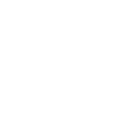 Whizzle - Decal - Rocket Racing