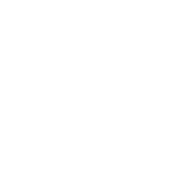 Icon (Before v37.10)