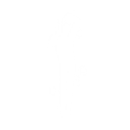 Superfast Jellyfish - Emote - Fortnite