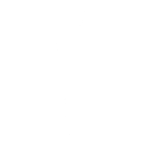 Tiniest Violin - Emote - Fortnite
