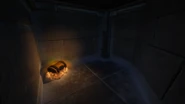 Hidden Room