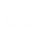 Calified - Decal - Rocket Racing