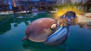 Seal
