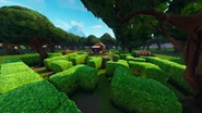 (Before Update v6.00)
