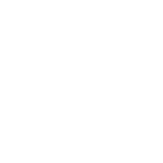 2Bold - Decal - Rocket Racing