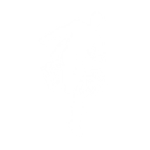 Action! Kick - Emote - Fortnite
