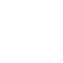 Imagination! - Sidekick Emote - Fortnite