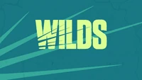 Chapter 4 Season 3 (WILDS - News Tab) - Promo - Fortnite