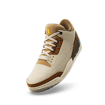 Nike air jordan 3 wiki shop