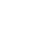 Zerobug - Decal - Rocket Racing