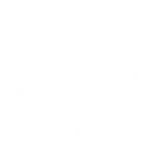 Zerobug - Decal - Rocket Racing