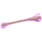 Spinning Bone Projectile