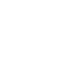 Leopard - Decal - Rocket Racing