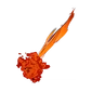 Jet Wash (Orange) - Boost - Rocket Racing