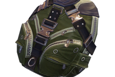 Standard Issue back bling Fortnite Wiki