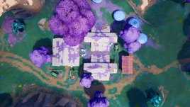 Top View