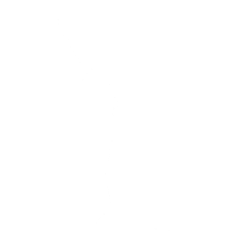 Phone Wave - Emote - Fortnite
