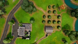 Top View