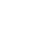 Pistol