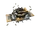 Combocopter