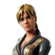 Icon (Before v30.10)