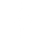 She Is the Boss - Emote - Fortnite