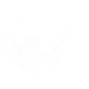 Spirit Strider - Emote - Fortnite