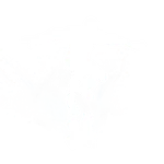 Spirit Strider - Emote - Fortnite