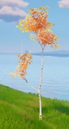 Small Birch Tree (v11.00) - Tree - Fortnite