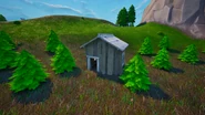 Small Forest