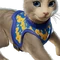 The Best Cat (Harness - Catcatcat Cat) - Sidekick - Fortnite