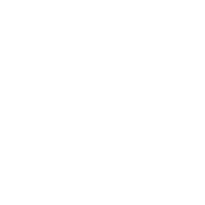 Icon (Before October 11th 2025)