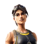 Icon (Before v30.10)