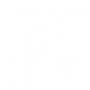 NBP - Decal - Rocket Racing