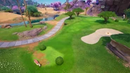 Hole 8