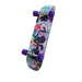 Back Board (Brite Boarder) - Back Bling - Fortnite