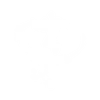 Fire Tornado - Emote - Fortnite