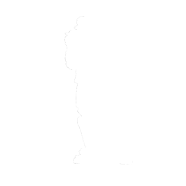 Shuriken Spinner - Emote - Fortnite