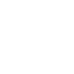 Icon Leader