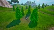Tree Circle