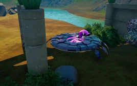Saucer