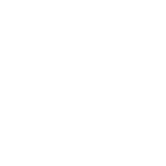 Tip Jar - Emote - Fortnite