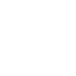 Circuit - Decal - Rocket Racing